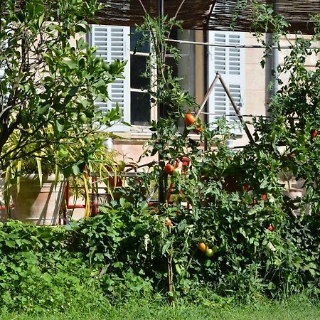Les Passiflores Grasse Exterior foto