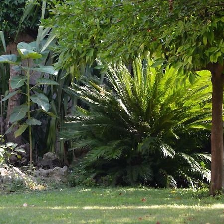 Les Passiflores Grasse Exterior foto