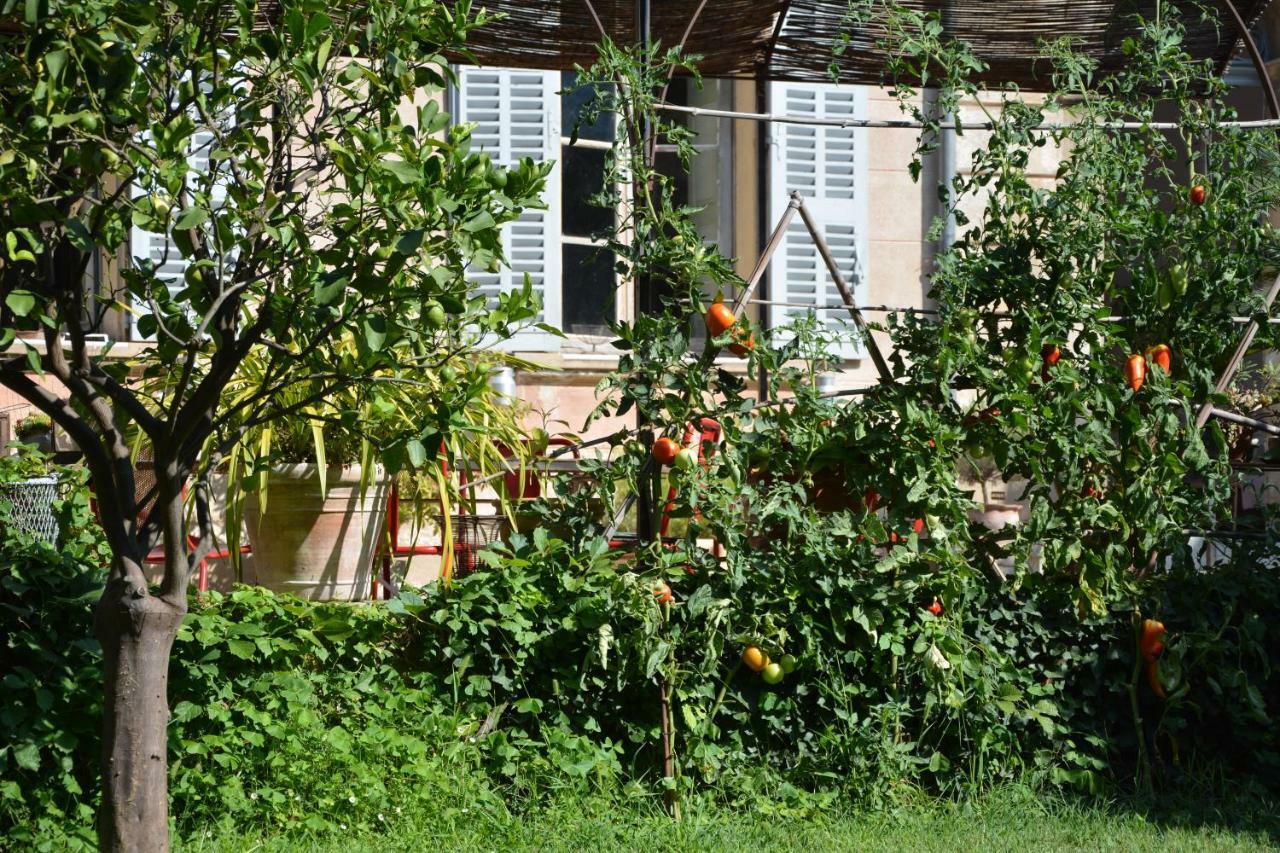 Les Passiflores Grasse Exterior foto